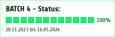 Progress bar of batch 4